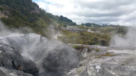 whakarewarewa the living maori village rotorua|Family fun and educational village tour .